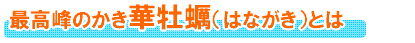 伊勢志摩英虞湾産の牡蠣は